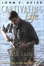 Capa do artigo Captivating Life