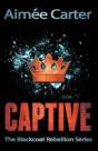 Captive - Preview