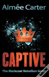 Capa do artigo Captive