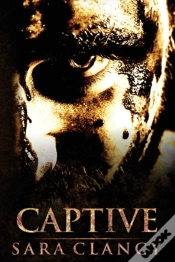 Capa do artigo Captive
