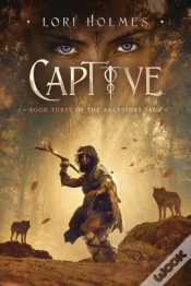 Capa do artigo Captive