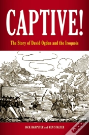 Capa do artigo Captive!