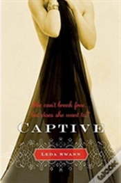 Capa do artigo Captive