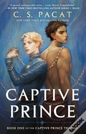 Capa do artigo Captive Prince