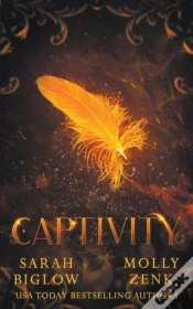 Capa do artigo Captivity