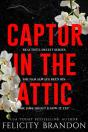 Captor In The Attic - Preview