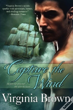 Capa do artigo Capture The Wind