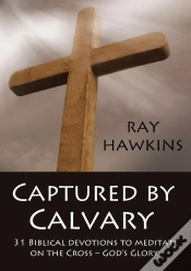 Capa do artigo Captured By Calvary