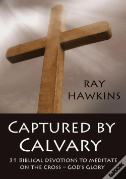 Capa do artigo Captured By Calvary