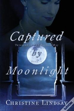 Capa do artigo Captured By Moonlight