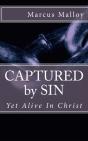 Captured By Sin - Preview