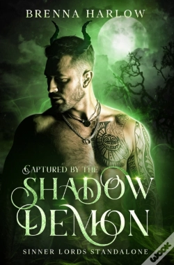 Capa do artigo Captured By The Shadow Demon