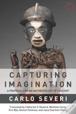 Capa do artigo Capturing Imagination