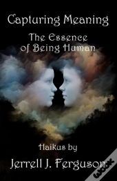 Capturing Meaning
