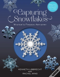 Capa do artigo Capturing Snowflakes