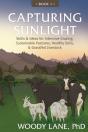 Capturing Sunlight, Book 1 - Preview