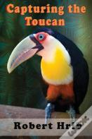 Capturing Toucan