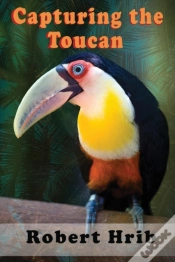 Capa do artigo Capturing Toucan