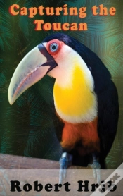 Capa do artigo Capturing Toucan