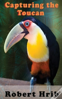 Capa do artigo Capturing Toucan