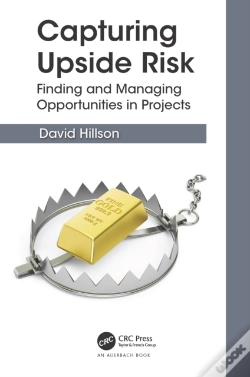Capa do artigo Capturing Upside Risk