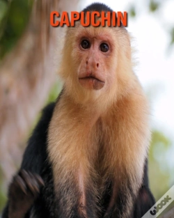 Capa do artigo Capuchin