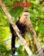 Capuchin