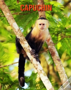Capa do artigo Capuchin
