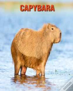 Capa do artigo Capybara
