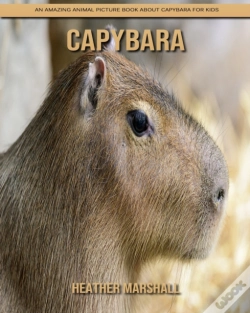 Capa do artigo Capybara