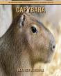 Capybara - Preview