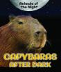 Capybaras After Dark - Preview