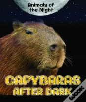 Capa do artigo Capybaras After Dark