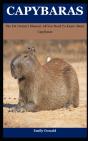 Capybaras - Preview