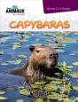 Capybaras - Preview