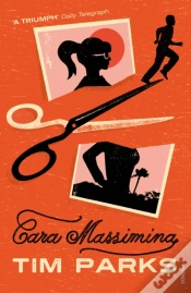 Capa do artigo Cara Massimina