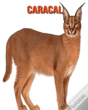 Capa do artigo Caracal