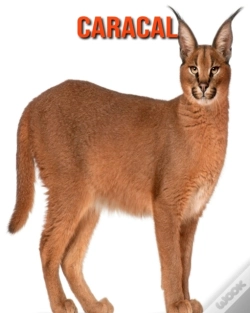 Capa do artigo Caracal