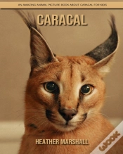 Capa do artigo Caracal