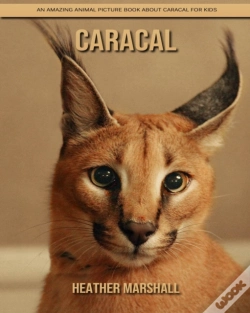 Capa do artigo Caracal