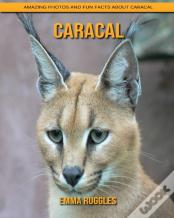 Caracal