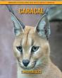Caracal - Preview