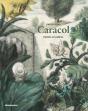 Caracol - Preview