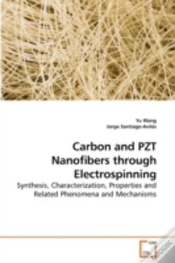 Capa do artigo Carbon And Pzt Nanofibers Through Electr
