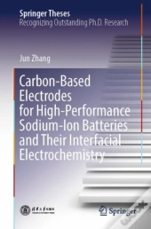 Carbon-Based Electrodes For High-Performance Sodium-Ion Batteries And Their Interfacial Electrochemistry