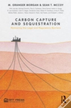 Capa do artigo Carbon Capture And Sequestration