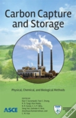 Capa do artigo Carbon Capture And Storage