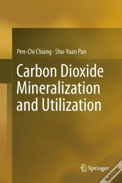 Capa do artigo Carbon Dioxide Mineralization And Utilization