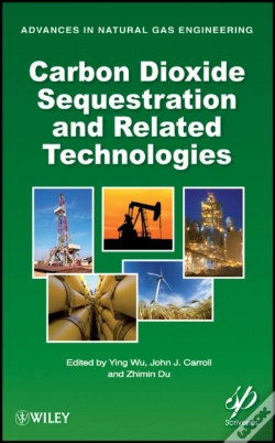 Capa do artigo Carbon Dioxide Sequestration And Related Technologies