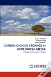 Carbon Dioxide Storage In Geological Media